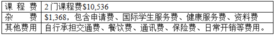 RTX截图未命名22.png