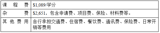 RTX截图未命名29.png