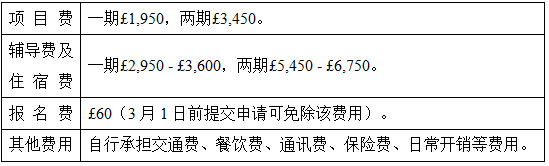 RTX截图未命名18.png